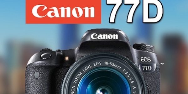 Chi tiết về Canon EOS 77D: Chiếc DSLR dành cho những ai đã vượt qua giai đoạn khởi đầu