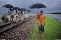 Nhiếp ảnh gia Steve McCurry chia sẻ 9 quy tắc cơ bản về bố cục trong nhiếp ảnh